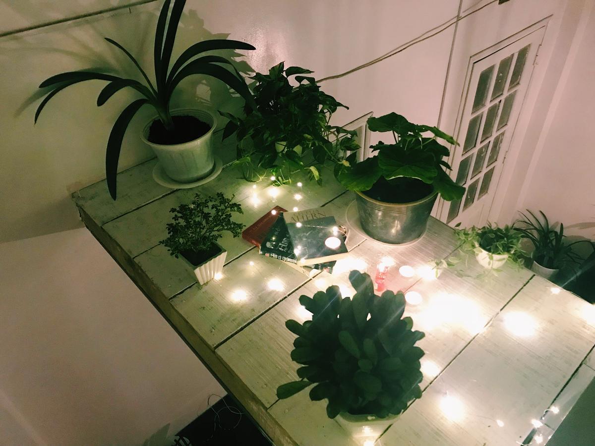The Balcony Bnb Dalat Bagian luar foto